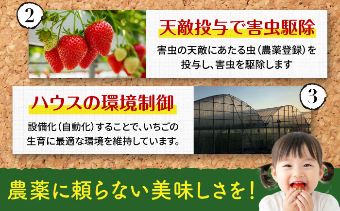 【2025年12月より発送】『自然環境農法』で育てた福岡県産 あまおう 約285g×2パック＜おおきベリー株式会社＞那珂川市 [GZE007]