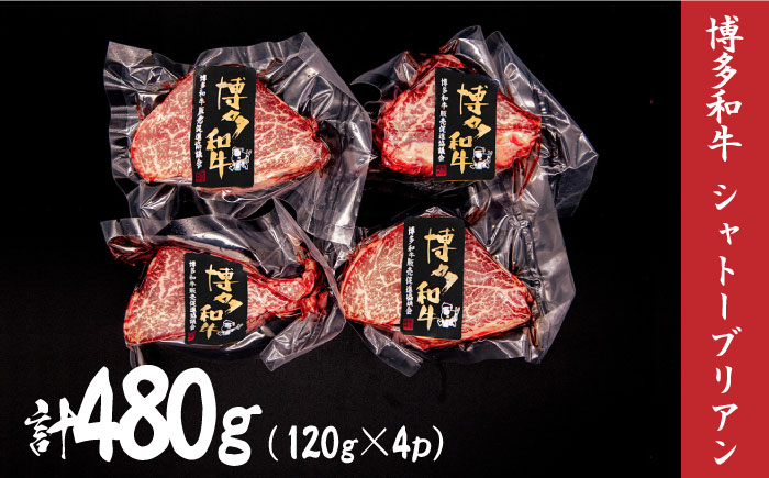 博多和牛 シャトーブリアン 約480g（120g×4枚）＜株式会社くしだ企画＞那珂川市 [GZI002]