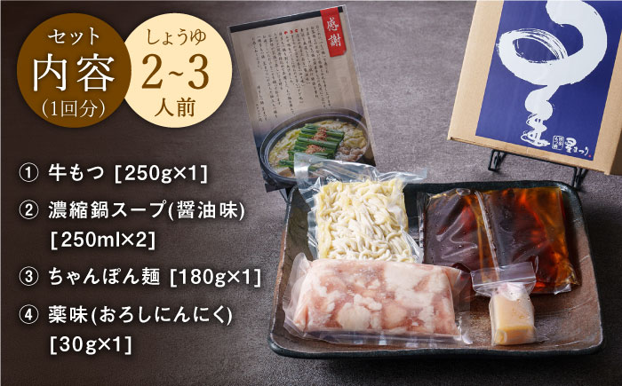 【全3回定期便】ミシュラン掲載！国産牛 もつ鍋 醤油味セット（2～3人前）＜博多もつ鍋 星まつり＞那珂川市 [GAA007]