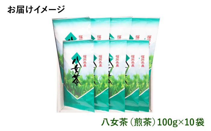 【豊かな香りにまろやかな旨味】八女茶 10袋 1kgセット（100ｇ×10袋）＜お茶の星陽園 ＞那珂川市 飲料 お茶 茶 [GAD002]