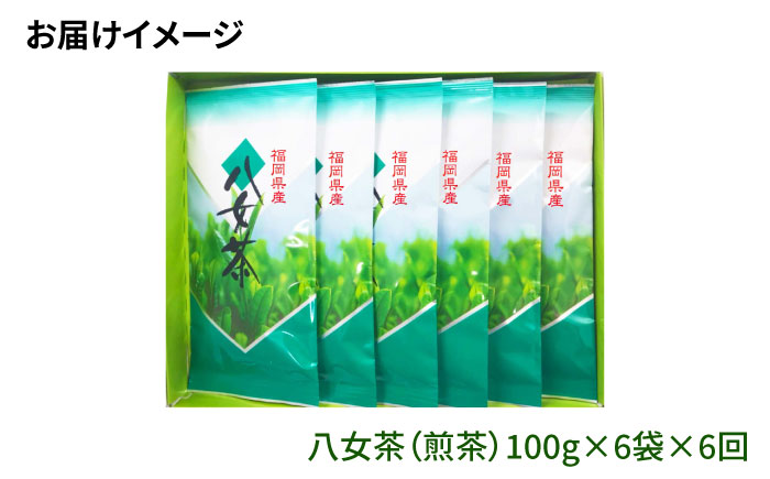 【全6回定期便】八女茶6袋（600g）セット＜お茶の星陽園 ＞那珂川市 飲料 お茶 茶 [GAD006]