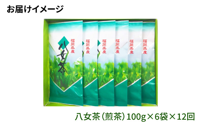 【全12回定期便】八女茶6袋（600g）セット＜お茶の星陽園 ＞那珂川市 飲料 お茶 茶 [GAD007]