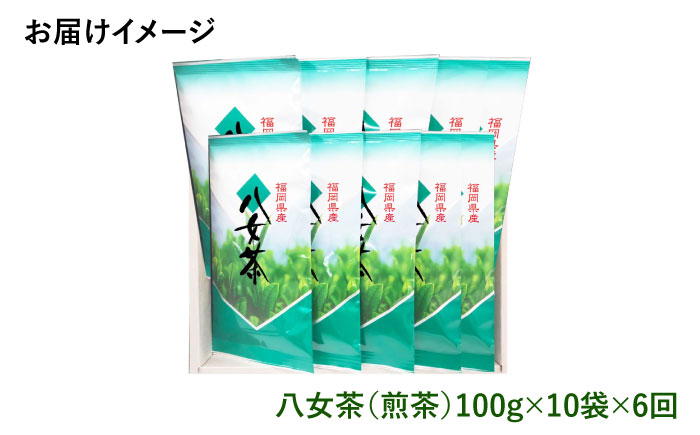 【全6回定期便】八女茶10袋（1kg）セット＜お茶の星陽園 ＞那珂川市 飲料 お茶 茶 [GAD009]