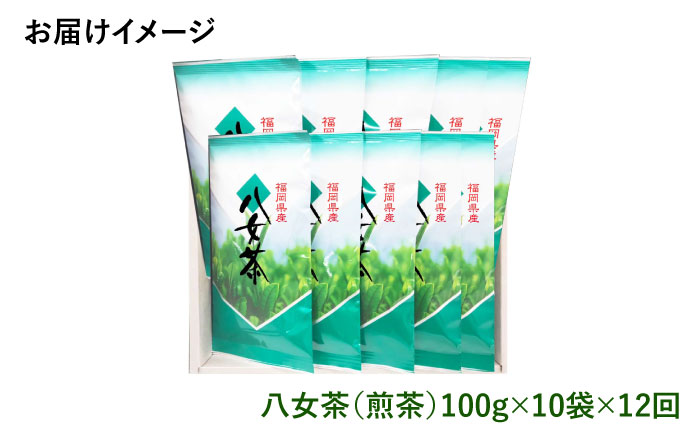 【全12回定期便】八女茶10袋（1kg）セット＜お茶の星陽園 ＞那珂川市 飲料 お茶 茶 [GAD010]