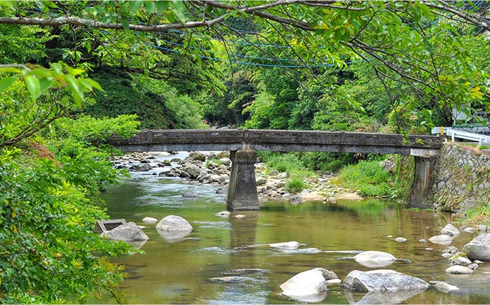 【年内発送】【申込後に自家焙煎！】コーヒー ギフトセット 豆  計500g ブレンド＆エチオピア モカ イルガチェフェ＜自家焙煎珈琲 猫屋カフェ＞那珂川市 飲み物 コーヒー 珈琲 コーヒー豆 [GAG031]