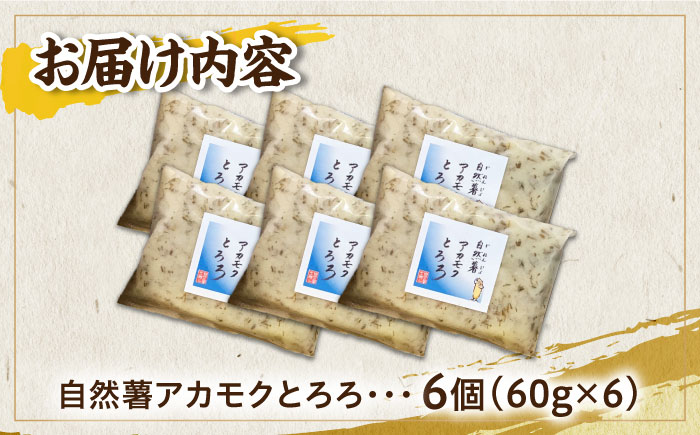 【年内発送】【磯の風味が香るふわふわとろろ】那珂川産 自然薯 使用 博多自然薯 アカモク とろろ 60g×6個＜自然薯王国＞那珂川市 [GAH005]