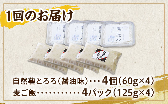 【全6回定期便】那珂川市産 自然薯 自然薯 麦とろ セット（4人前）＜自然薯王国＞ 那珂川市 [GAH010]