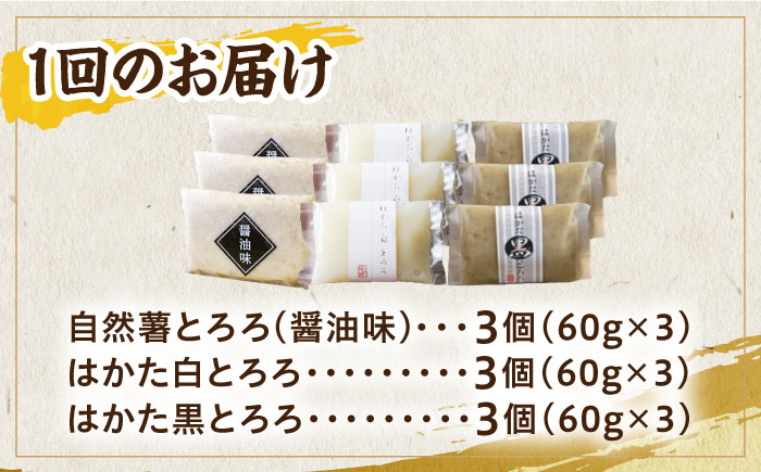 【全6回定期便】那珂川産 自然薯 とろろ 味くらべセット 計9個（3種類×3個）＜自然薯王国＞那珂川市 [GAH013]