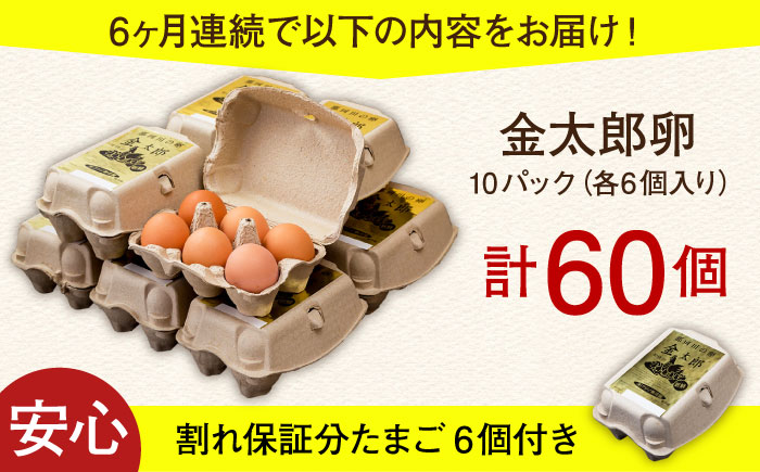【全6回定期便】【TVで紹介！】鮮度ＡＡ級の世界最高ランク！ 金太郎卵 平飼い たまご 60個（6個入り×10パック）＜有限会社 フジノ香花園＞那珂川市 卵 タマゴ [GAM012]