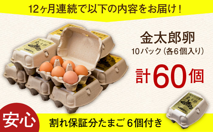 【全12回定期便】【TVで紹介！】鮮度ＡＡ級の世界最高ランク！金太郎卵 平飼い たまご 60個（6個入り×10パック）＜有限会社 フジノ香花園＞那珂川市 卵 タマゴ [GAM013]