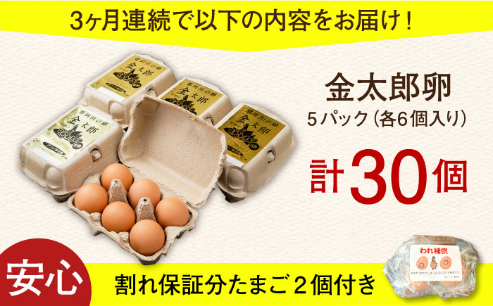【全3回定期便】【TVで紹介！】鮮度ＡＡ級の世界最高ランク！金太郎卵 平飼い たまご 30個（6個×5パック）＜有限会社 フジノ香花園＞那珂川市 卵 タマゴ [GAM017]