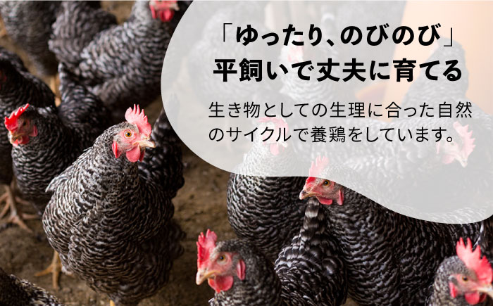 金太郎鶏 お肉2種セット＜有限会社 フジノ香花園＞那珂川市 肉 鶏肉 [GAM025]