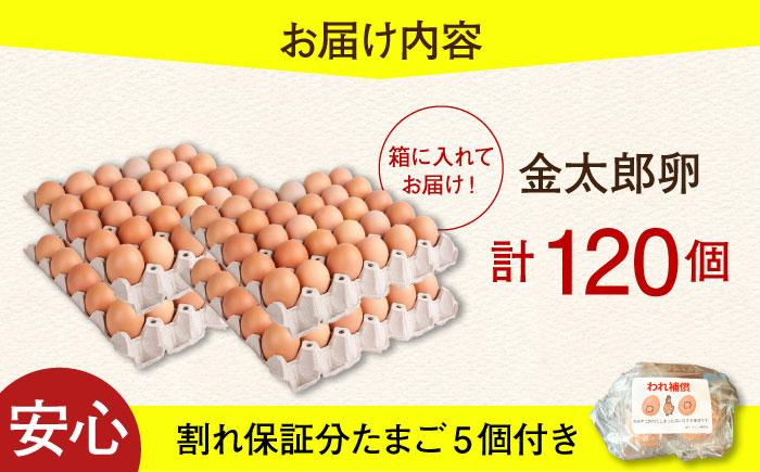 【TVで紹介！】【鮮度ＡＡ級の世界最高ランク！】金太郎卵 平飼い たまご まとめ買い120個（箱でお届け）＜有限会社フジノ香花園＞那珂川市 [GAM031]
