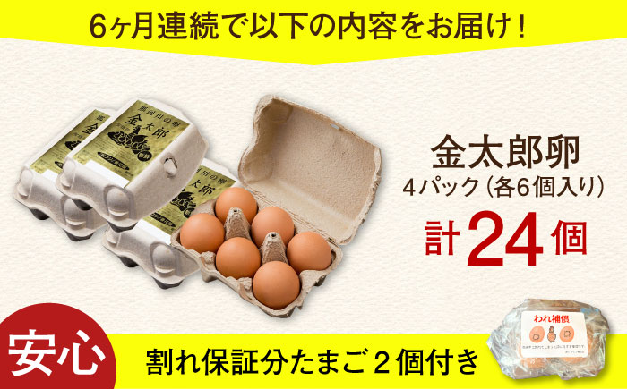 【6回定期便】【TVで紹介！】【鮮度ＡＡ級の世界最高ランク！】金太郎卵 平飼い たまご 24個（6個×4パック）＜有限会社フジノ香花園＞那珂川市 [GAM034]