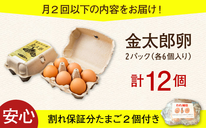 ＼月2回発送／【TVで紹介！】【鮮度ＡＡ級の世界最高ランク！】金太郎卵 平飼い たまご 計24個(12個×月2回)＜有限会社フジノ香花園＞那珂川市 [GAM036]