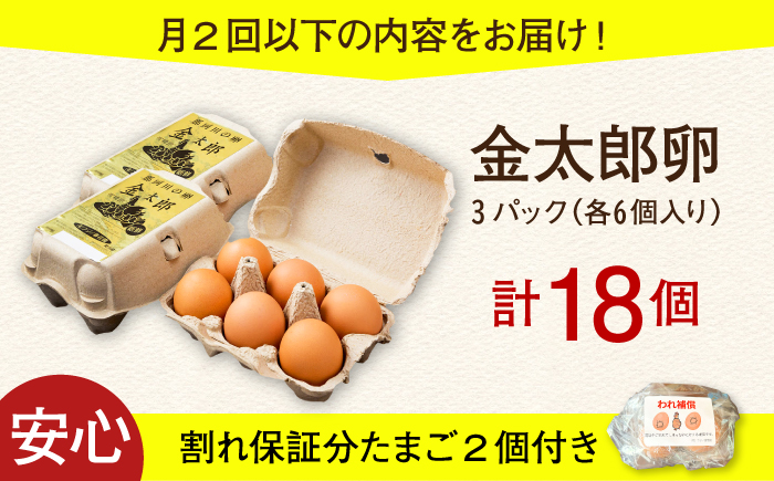 ＼月2回発送／【TVで紹介！】【鮮度ＡＡ級の世界最高ランク！】金太郎卵 平飼い たまご 計36個(18個×月2回)＜有限会社フジノ香花園＞那珂川市 [GAM037]