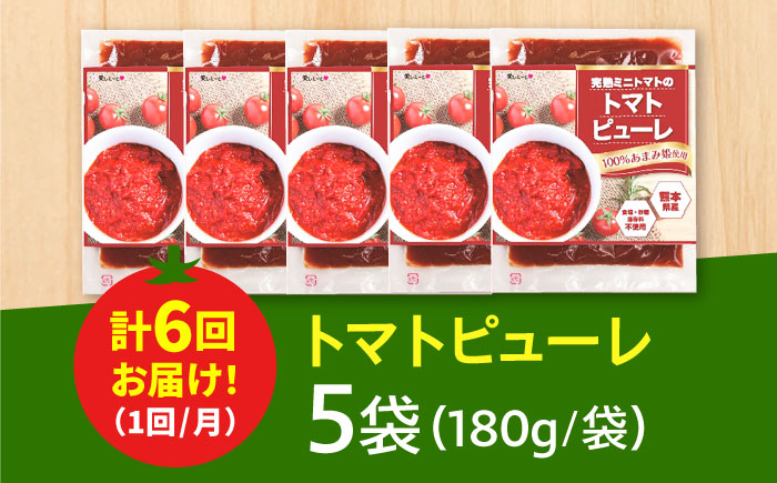 【全6回定期便】完熟ミニトマト（あまみ姫）無添加 トマトピューレ5袋入り＜株式会社愛しとーと＞那珂川市 [GBA039]