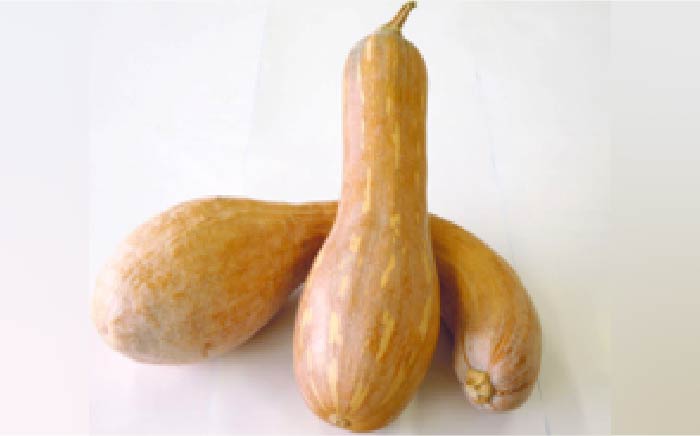 【希少な果実ジャム！】やまももジャム ぼうぶらジャム セット＜株式会社南畑ぼうぶら会議＞那珂川市 ジャム [GBL009]