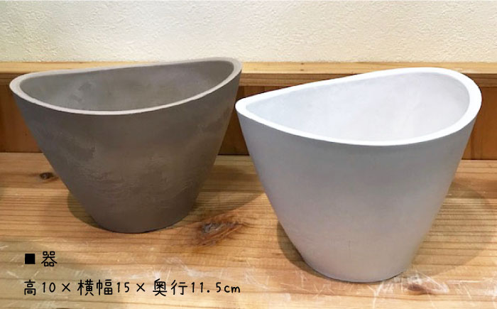 【暮らしにお花を】森の中のケロニスと小鳥＜フラワーデザイン アドニス＞那珂川市 雑貨 インテリア [GBN001]