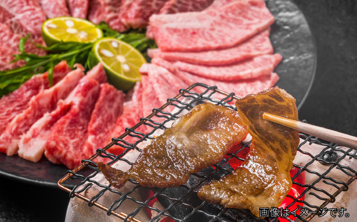 【全6回定期便】【和牛の旨味を堪能！】博多和牛焼肉用 500g＜株式会社MEAT PLUS＞那珂川市 肉 牛肉 黒毛和牛 [GBW020]