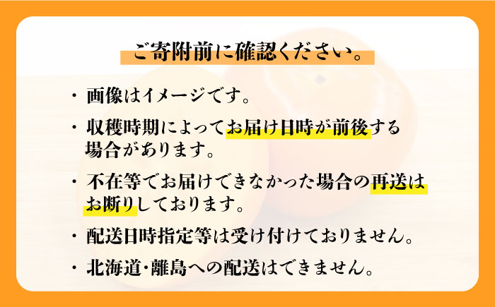 【2026年10月以降発送】福岡より直送！ 種がほとんどない新ブランド 柿 秋王 約1.5kg＜一般社団法人地域商社ふるさぽ＞那珂川市 [GBX008]