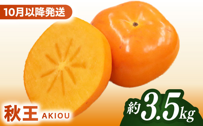【2026年10月以降発送】福岡より直送！ 種がほとんどない新ブランド 柿 秋王 約3.5kg＜一般社団法人地域商社ふるさぽ＞那珂川市 [GBX051]