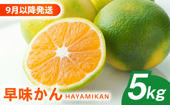 【2026年9月以降発送】産地直送！福岡県オリジナル品種 みかん 「早味かん」＜一般社団法人地域商社ふるさぽ＞那珂川市 [GBX053]