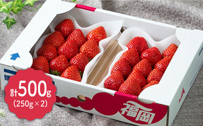 【12月上旬より発送】先行予約！福岡産【冬】 あまおう 2パック＜南国フルーツ株式会社＞那珂川市 [GCD011]