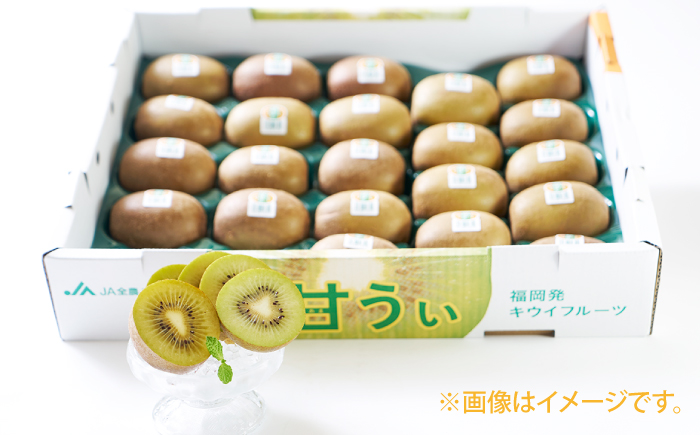 【10月下旬より発送】先行予約 福岡産ブランド キウイ 甘うぃ 約3kg（24-33玉）＜南国フルーツ株式会社＞那珂川市 [GCD026]