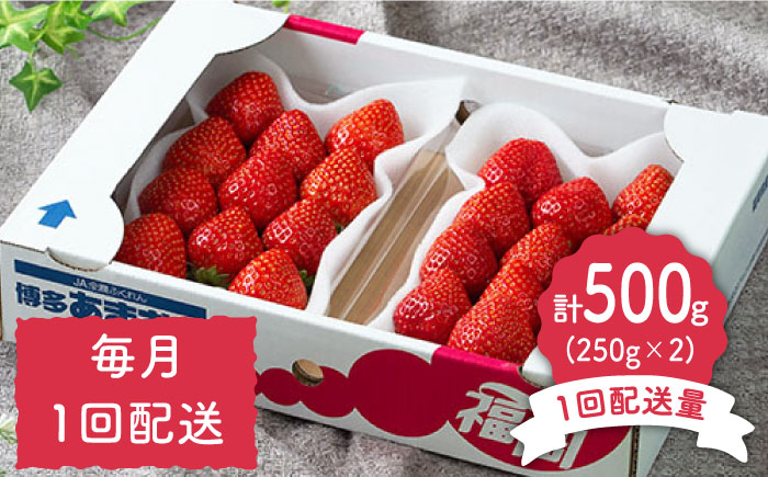 先行予約【全3回定期便】福岡産【冬】あまおう 2パック＜南国フルーツ株式会社＞那珂川市 [GCD044]