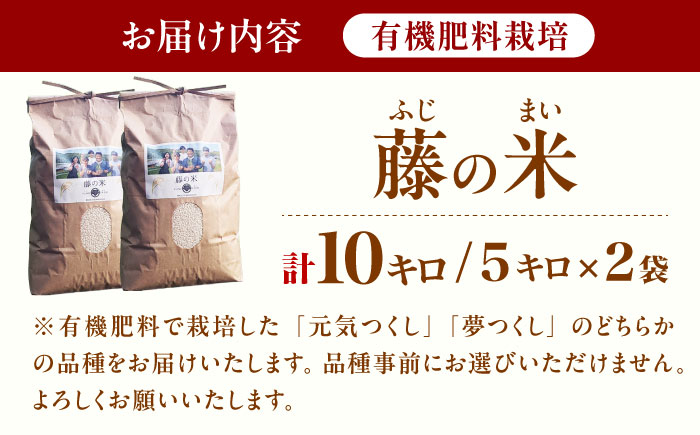 【10営業日以内に発送！】令和7年度産 藤の米(ふじのまい) 10kg(5kg×2袋) ＜フジノ農園＞那珂川市 [GCO004]