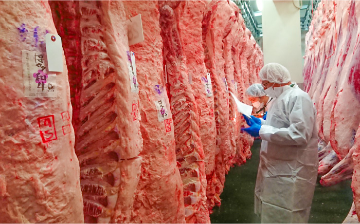 【牛肉の女王様！】博多和牛 厚切り ヒレ ステーキ 200g×5枚＜久田精肉店＞那珂川市 ヒレステーキ 肉 牛肉 国産 和牛 希少部位 ヒレ ヒレ肉 赤身肉 フィレ [GDE033]