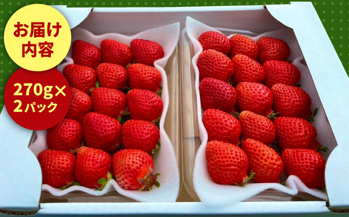 【2026年1月上旬より発送】先行予約！農家直送 朝採り新鮮いちご【博多あまおう】約270g×2パック＜株式会社H&Futures＞那珂川市 あまおう [GDS001]