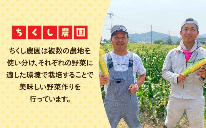 【先行予約 2026年5月末より発送】朝採れ スイートコーン 5kg（10-12本入り） とうもろこし ＜ちくし農園＞那珂川市 野菜 コーン ポタージュ 甘い コーンスープ 天ぷら 保存 [GDU001]
