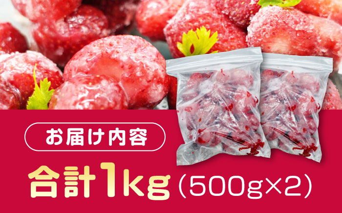 あかい・まるい・おおきい・うまい「博多あまおう」の冷凍いちご 計1kg(500g×2）＜株式会社natural factory＞那珂川市 あまおう [GEA018]