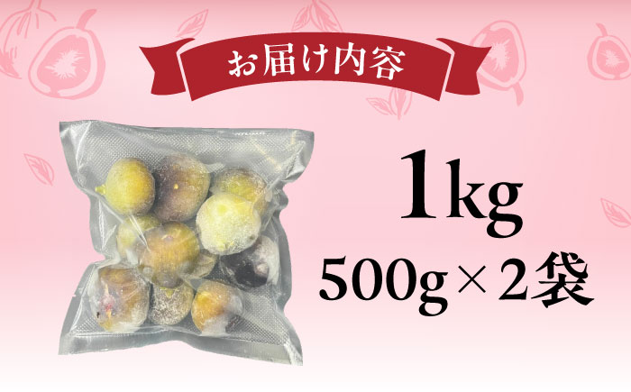 福岡県産「博多とよみつひめ」冷凍いちじく！合計1kg（500g×2袋）＜株式会社natural factory＞那珂川市 とよみつひめ [GEA080]