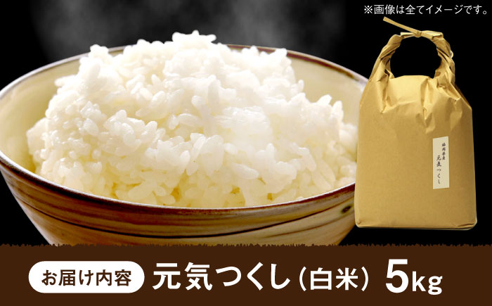 特A評価! 元気つくし【白米】 5kg＜株式会社ベネフィス＞那珂川市 [GED055]