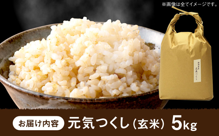 特A評価! 元気つくし【玄米】 5kg＜株式会社ベネフィス＞那珂川市 [GED056]