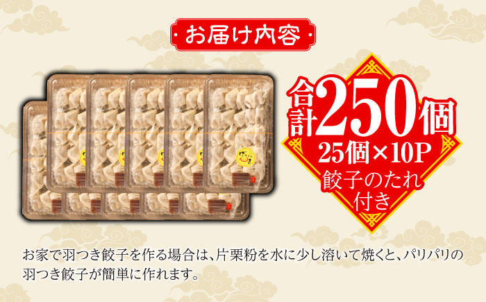 冷凍 博多一口餃子 25個入り×10パック＜麺専科げんき＞那珂川市 [GEG003]