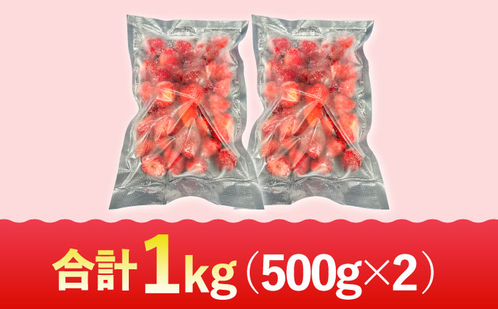 【福岡スイーツ自然の贈り物】かわいい化粧箱入り！！福岡県産 冷凍 あまおう合計1kg（500g×2袋）＜株式会社BeerO’Clock＞那珂川市 [GES009]