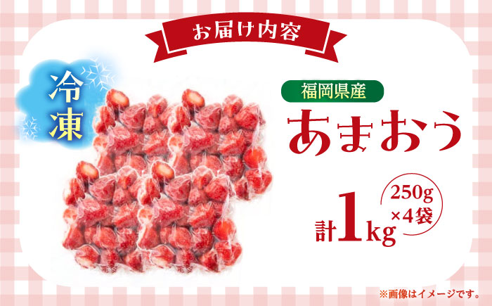 福岡県産 冷凍あまおう1ｋg(250g×4個) ＜木村食品＞ 那珂川市 [GFR035]