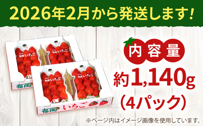 【2026年2月より発送】先行予約！『自然環境農法』で育てた福岡県産 あまおう 約285g×4パック＜おおきべりー株式会社＞那珂川市 フルーツ いちご あまおう [GZE002]