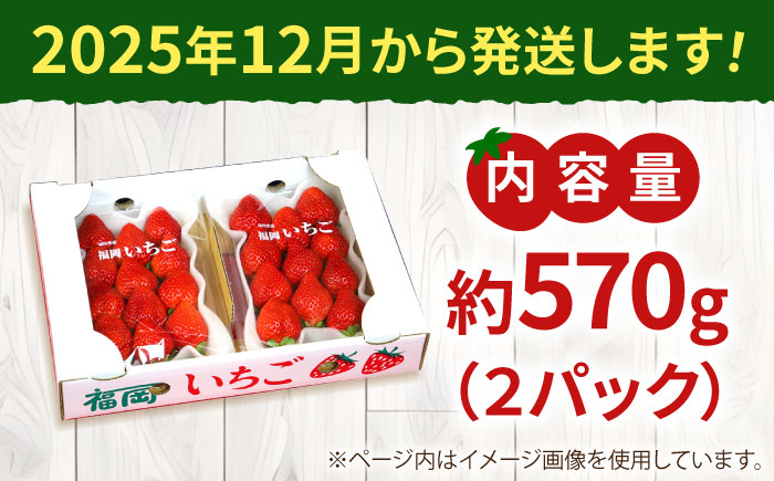 【2025年12月より発送】『自然環境農法』で育てた福岡県産 あまおう 約285g×2パック＜おおきベリー株式会社＞那珂川市 [GZE007]