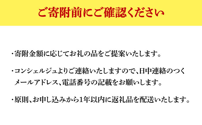 【那珂川市コンシェルジュ】返礼品おまかせ！寄附額100万円コース [GZZ024]