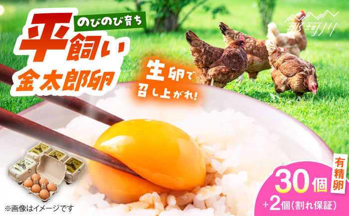 【TVで紹介！】【鮮度ＡＡ級の世界最高ランク！】金太郎卵 平飼い たまご 30個（6個×5パック）＜有限会社フジノ香花園＞那珂川市 卵 タマゴ [GAM006]