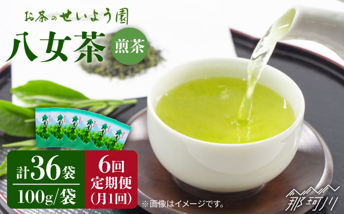 【全6回定期便】八女茶6袋（600g）セット＜お茶の星陽園 ＞那珂川市 飲料 お茶 茶 [GAD006]