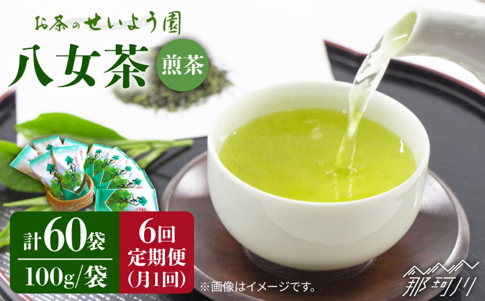 【全6回定期便】八女茶10袋（1kg）セット＜お茶の星陽園 ＞那珂川市 飲料 お茶 茶 [GAD009]