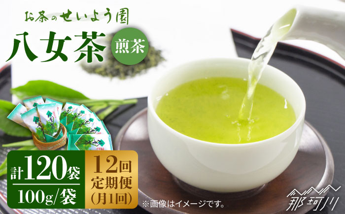 【全12回定期便】八女茶10袋（1kg）セット＜お茶の星陽園 ＞那珂川市 飲料 お茶 茶 [GAD010]
