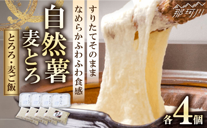 【年内発送】【味付け不要！本格「自然薯」麦とろ】自然薯 麦とろ セット（4人前）＜自然薯王国＞那珂川市 [GAH002]