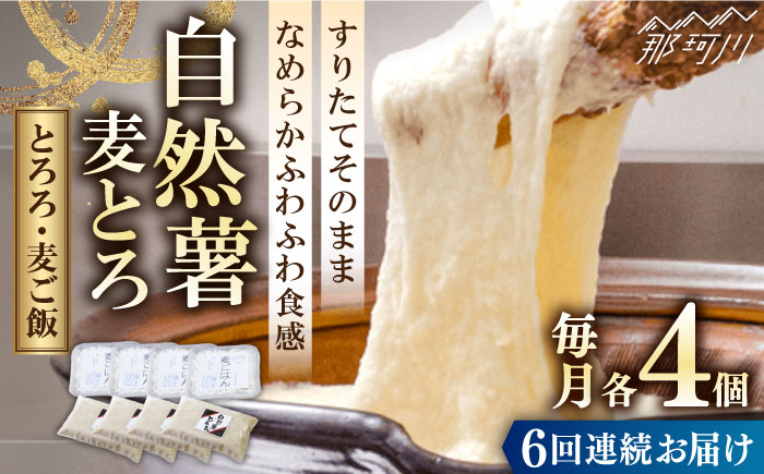 【全6回定期便】那珂川市産 自然薯 自然薯 麦とろ セット（4人前）＜自然薯王国＞ 那珂川市 [GAH010]